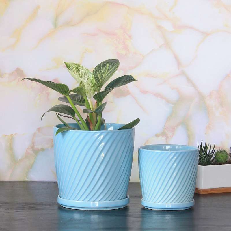 Swirl Beauty – Blue Glossy Ceramic Planter