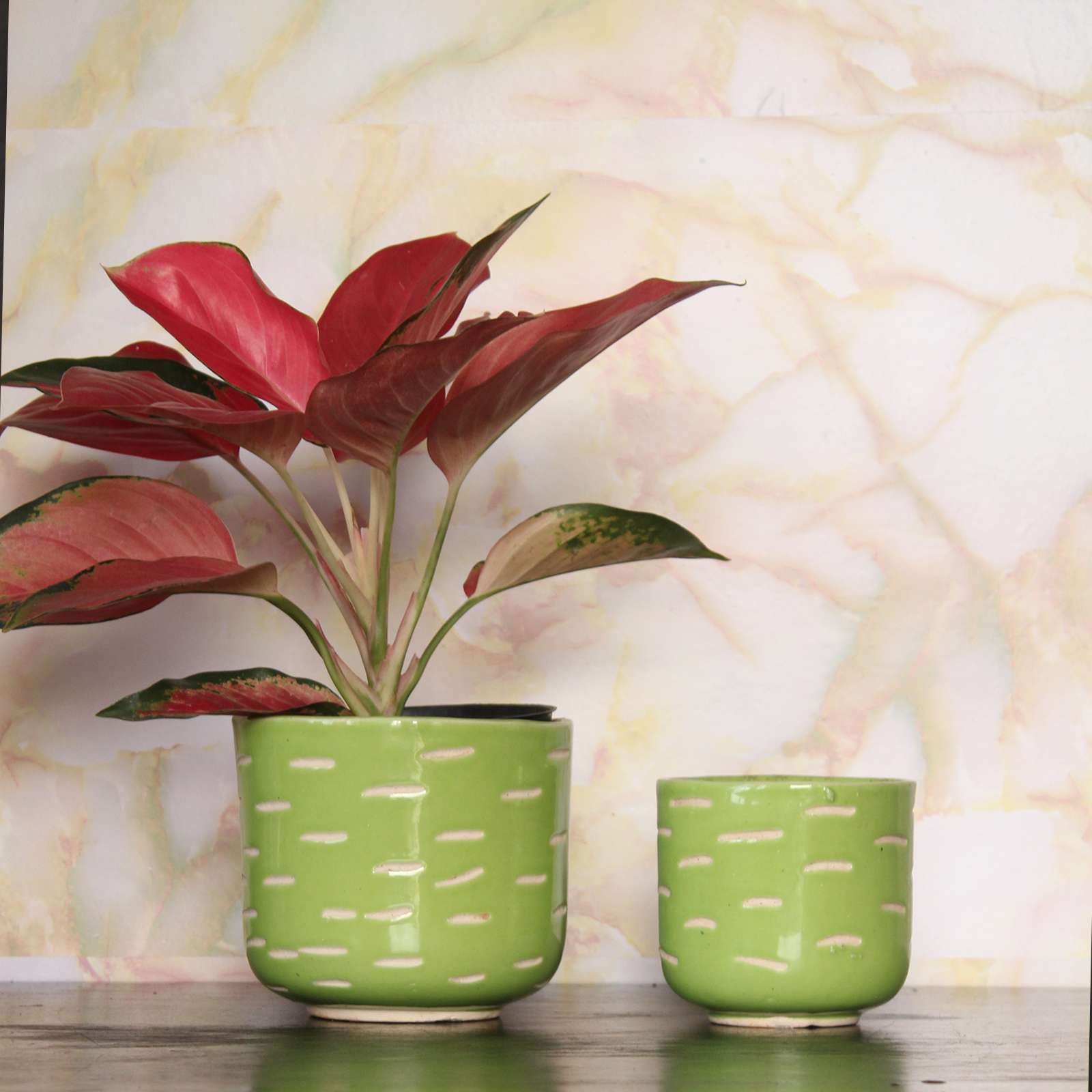 Glossy Ceramic Planter- Green ( 6 ” & 4.5 “)