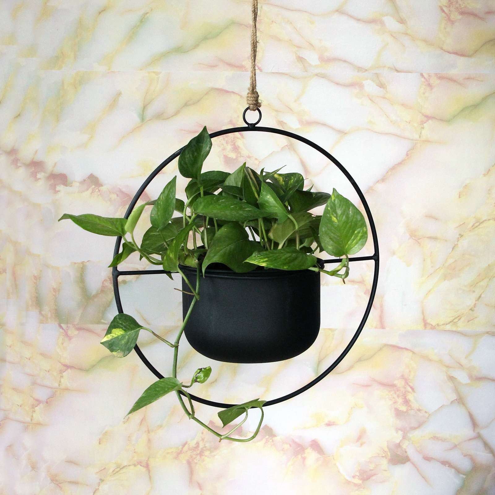 Circular Hanging Planter- Black