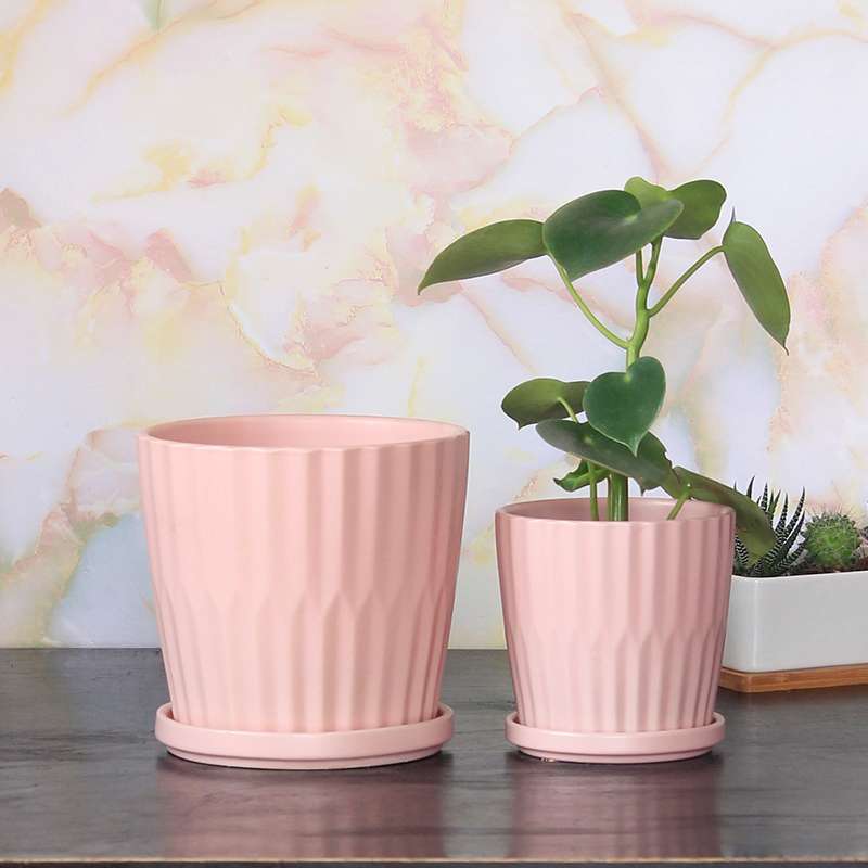 Pink n Pink- Matte Pink Ceramic Planter