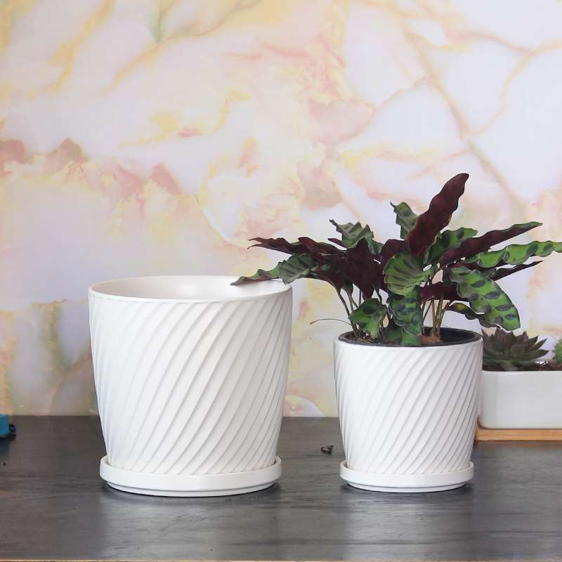 Swirl Beauty – White Matte Ceramic Planter