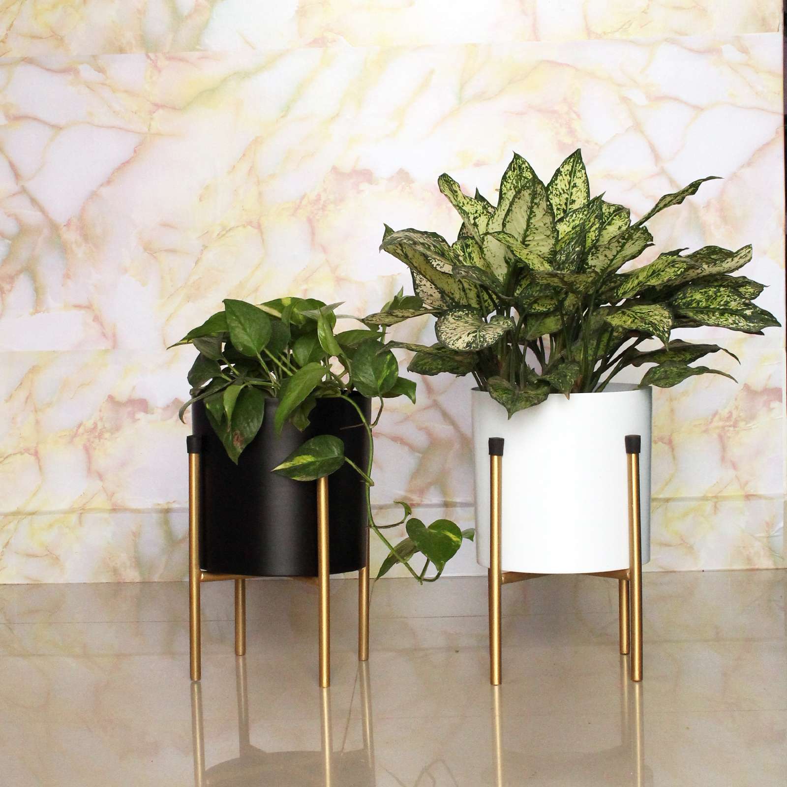 Metal Planter with Golden Stand