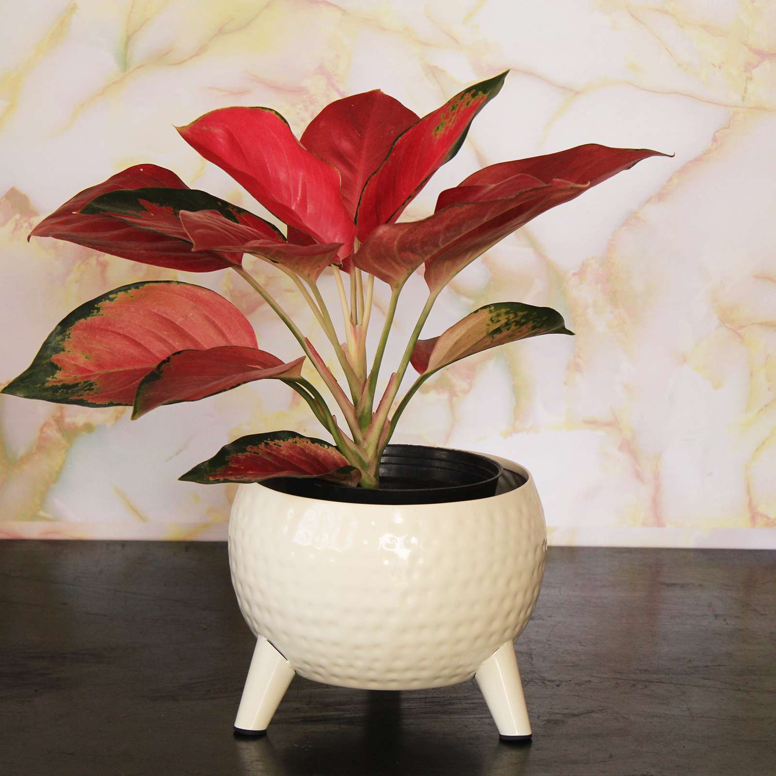 Hammered Metal Small Planter with Legs-Ivory