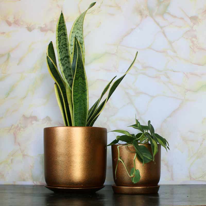Copper Metallic Coated – Terracotta Cylinder Pot with Saucer