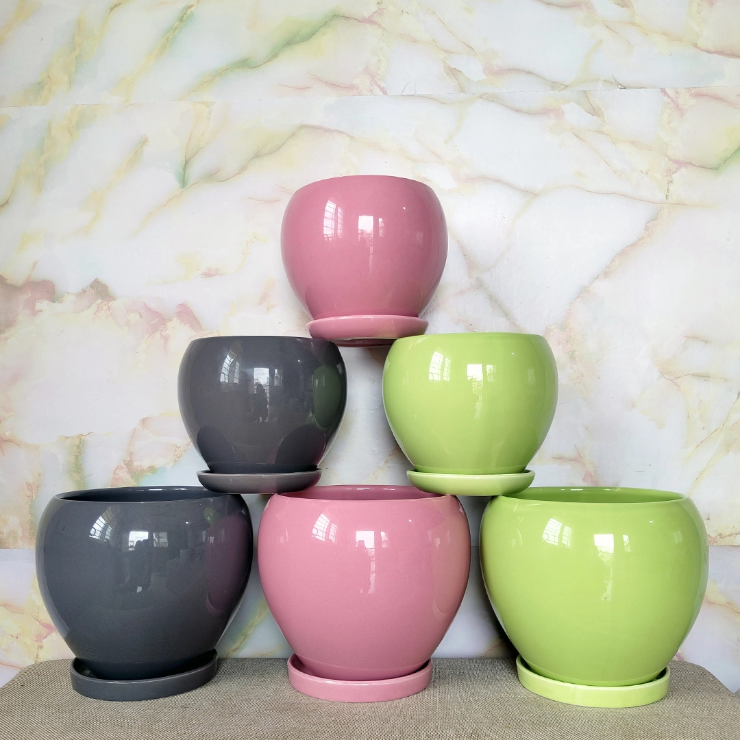 Premium Apple Pot with Tray